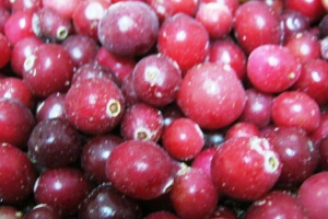 Журавлина заморожена 2,5 кг.